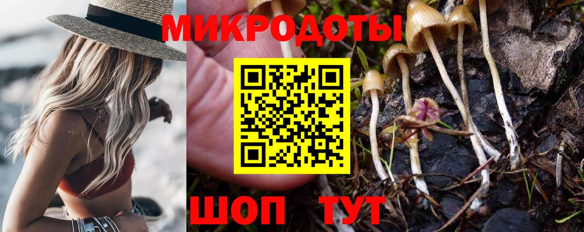 Псилоцибиновые грибы MAGIC MUSHROOMS Котовск